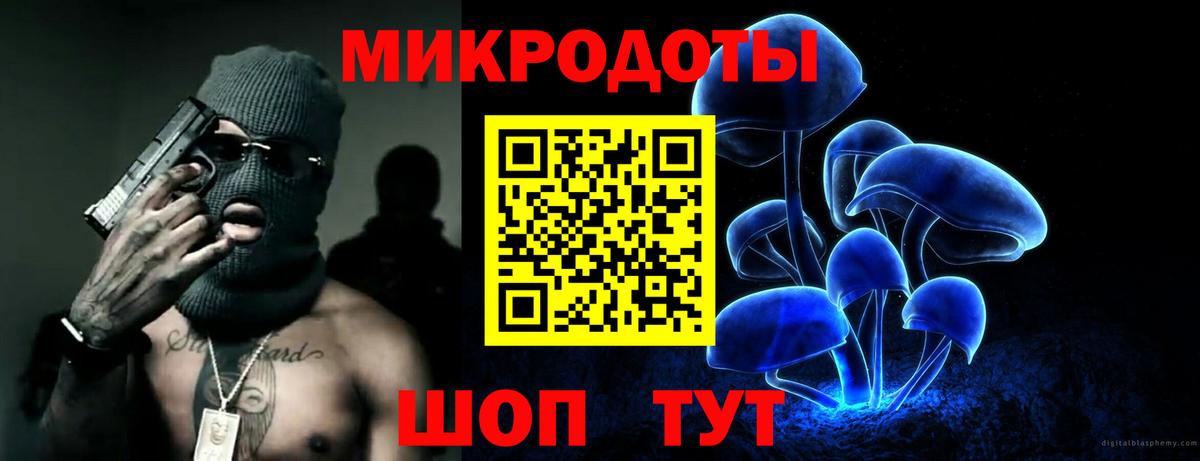 Десногорск  Псилоцибиновые грибы Cubensis  Вход с VPN 